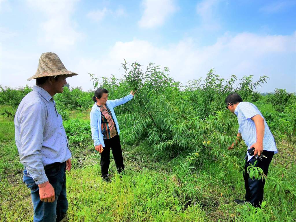 安徽寿县：科技特派员成为乡村振兴助推剂