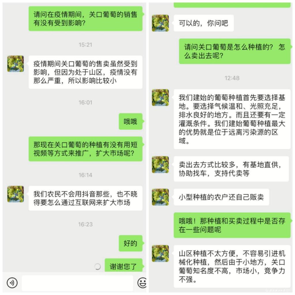 【永远跟党走 奋进新时代】之十四 外语学子开展小葡萄“云调研”探索乡村振兴新途径