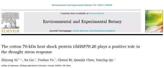 倪志勇和曲延英教授团队揭示GhHSP70-26调控干旱胁迫应答的分子机制