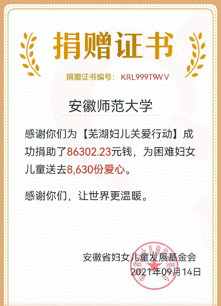 我校师生积极参与“99公益日”芜湖妇儿关爱行动
