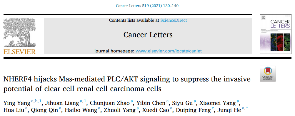 基础医学院贺俊崎教授团队《Cancer letters》揭示PDZ蛋白NHERF4抑制Mas介导的肾透明细胞癌侵袭能力的机制