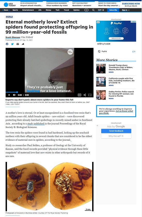 美国有线电视等多家国外媒体报道我校教育部创新团队的研究成果