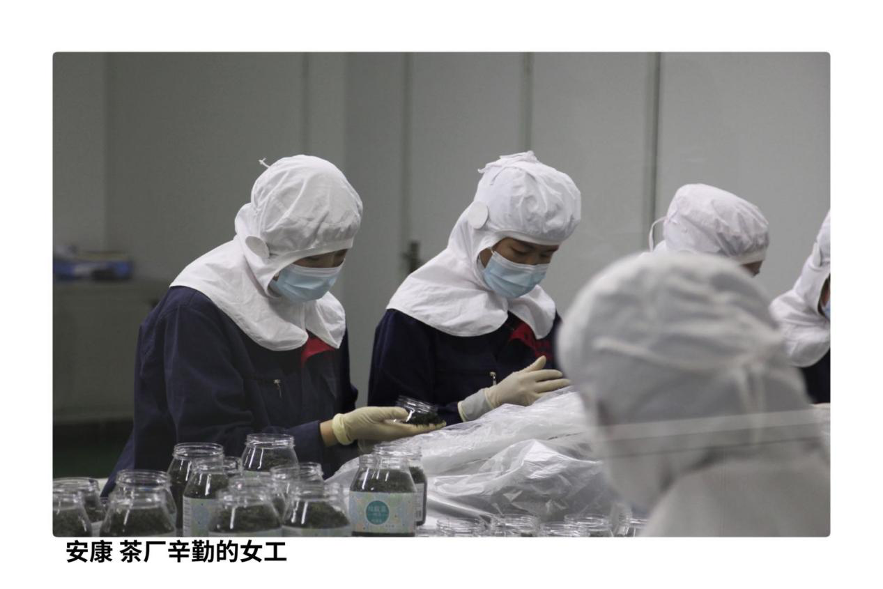 数字艺术学院学生作品入围第21届平遥国际摄影大展