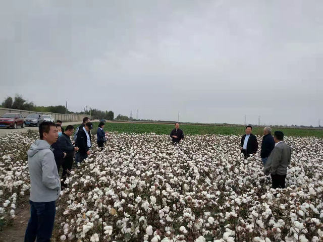 农学院与教学实验场共同庆祝第四个中国农民丰收节