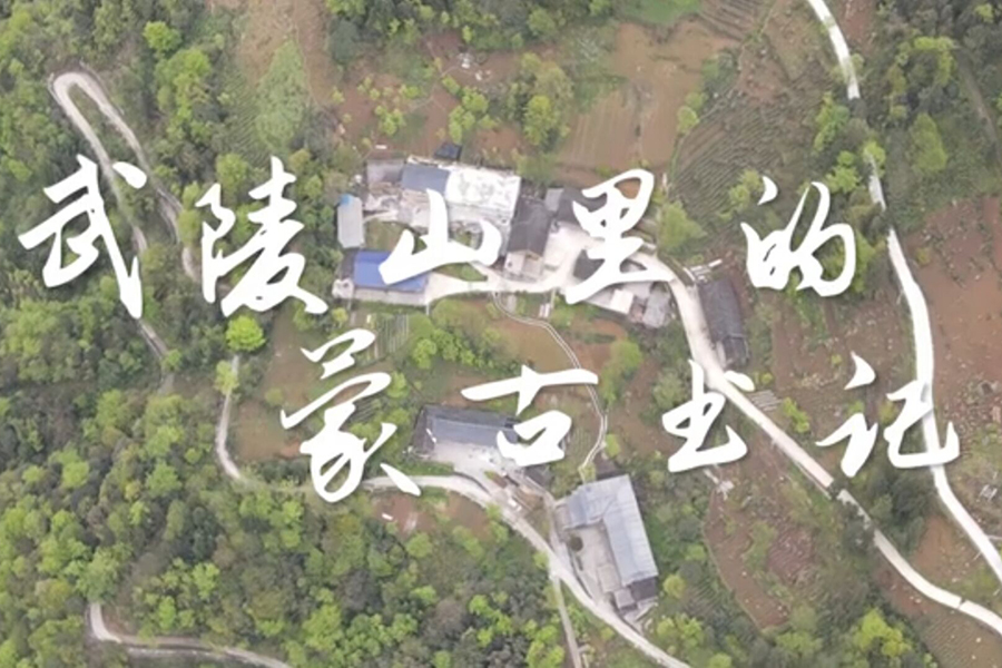 我校学子在全省庆祝建党百年网络视听大赛中获佳绩