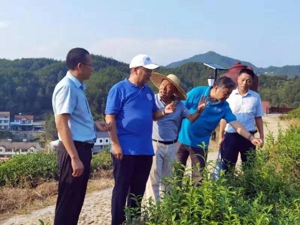 校领导赴英山调研特色产业助力乡村振兴工作