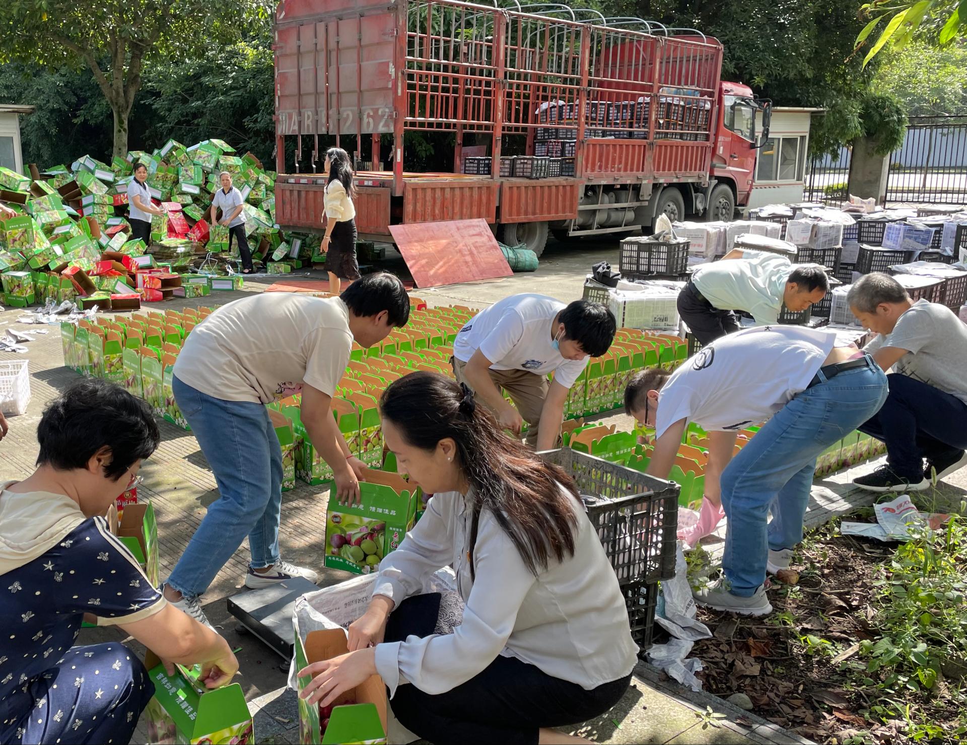 我为群众办实事：学校开展消费帮扶 全力助推脱贫县乡村振兴