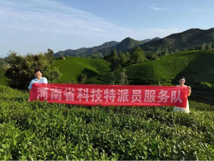 【学习强国】茶学博士张伟“务农”记