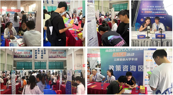 我校举办“南昌市10万人才来昌留昌百场校招活动”专场招聘会