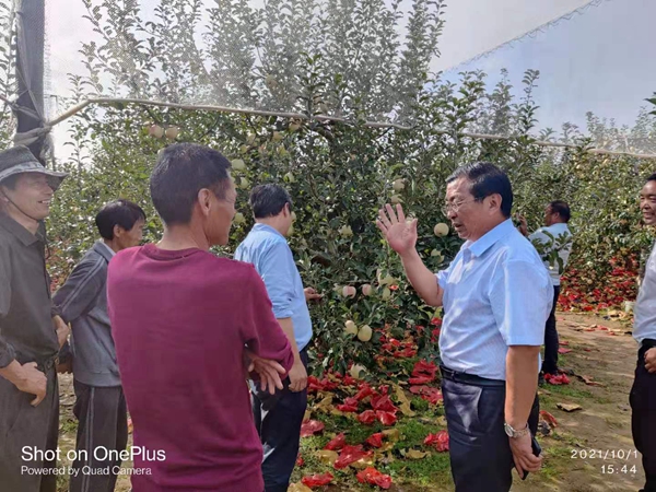 【组图】专家坚守田间地头 献礼祖国庆华诞