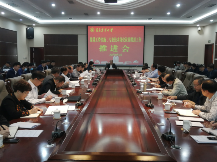 学校召开绩效工资实施、专业技术岗位设置与聘用工作推进会