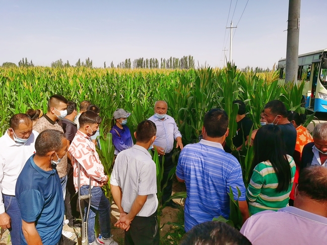 新疆农业大学继续教育学院在沙雅县开展基层农技人员培训