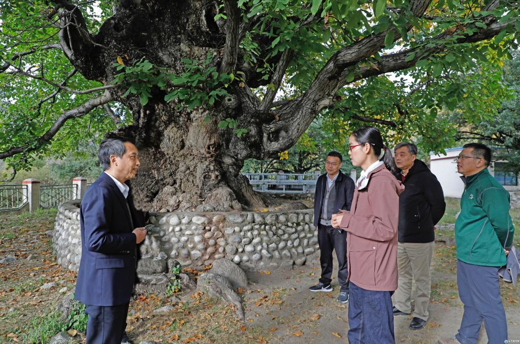 小核桃大产业 长江大学科技援藏工作扎实推进