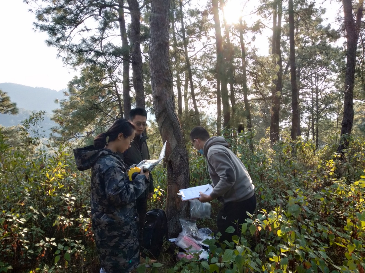 【帮扶在行动 】电子科大“智慧护林员”：助力乡村振兴 守护绿水青山