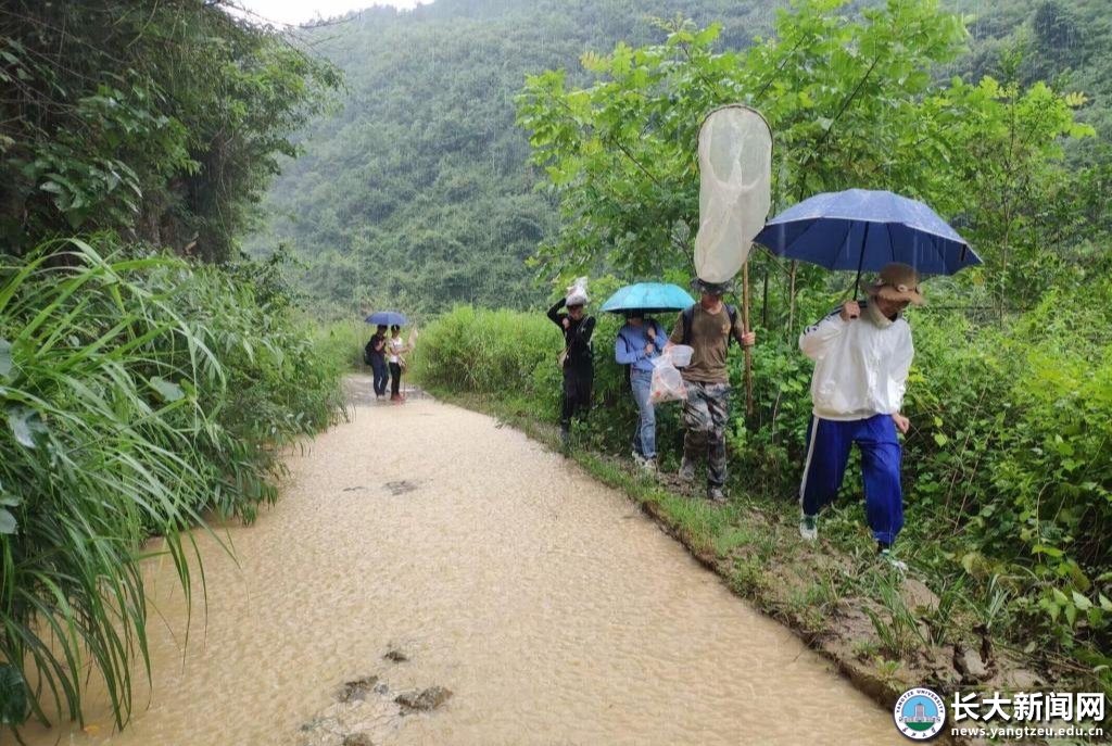 【劳动教育】夏日捉虫欢乐多 他们这样做昆虫标本