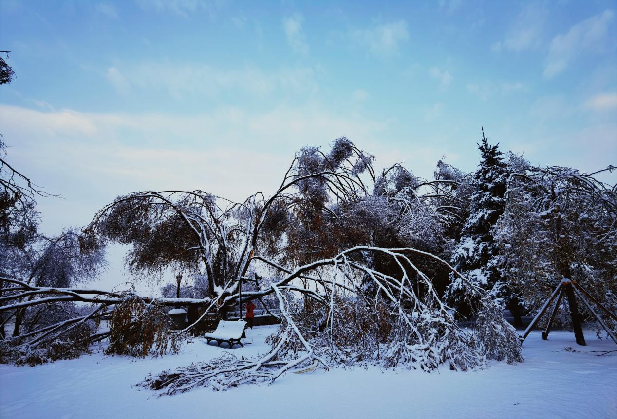 以“动”制“冻”！看黑龙江抗击风雪的磅礴力量