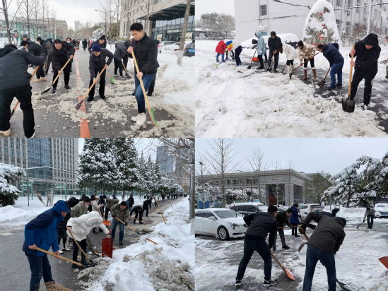 东北大学组织全校师生清扫校园积雪