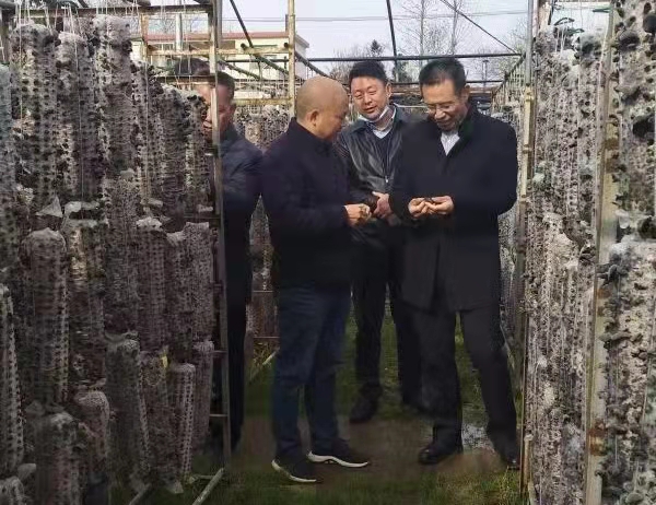 加强消费帮扶助力乡村振兴——校党委副书记李国武一行赴商南县推进消费帮扶工作