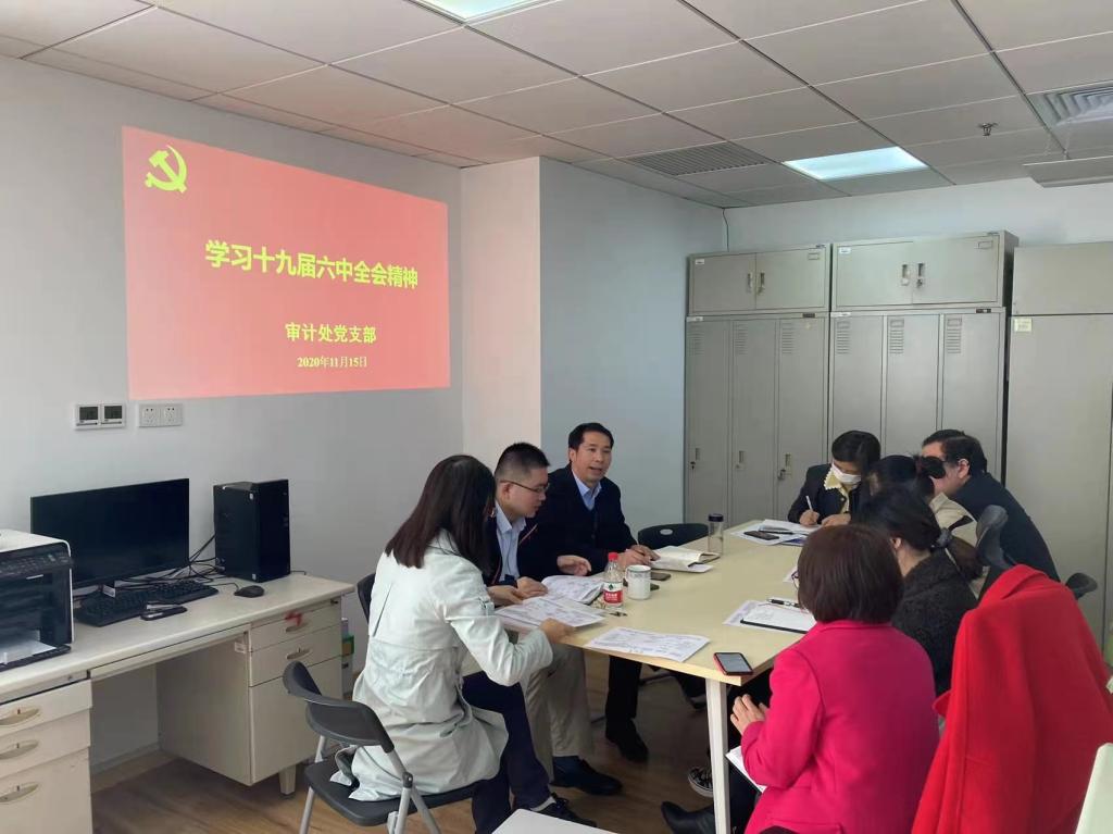 审计处组织学习党的十九届六中全会精神