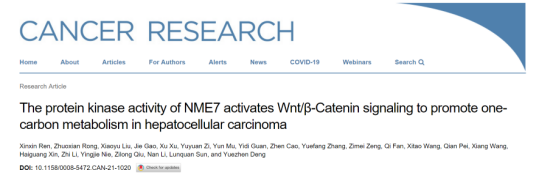 孙仑泉、邓跃臻团队在CancerResearch发表原创论文揭示肝癌一碳代谢调控机制