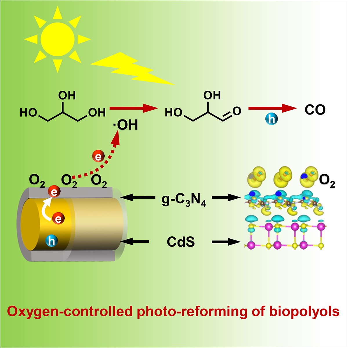 张大煜（化学）学院发展生物质光催化转化制备一氧化碳新方法