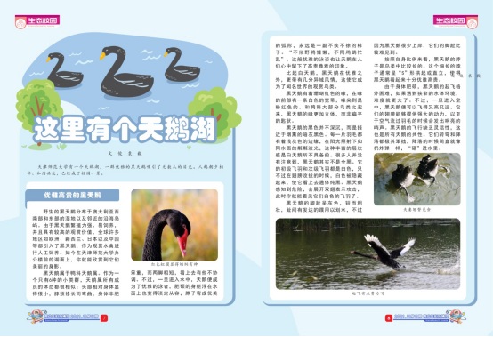 《青少年科技博览》的生态校园栏目受到广泛关注