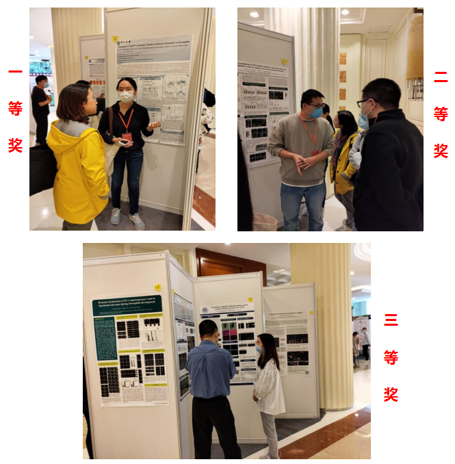 衡阳医学院容益康教授团队在2021国际暨中国第六届果蝇生物学大会壁报评选中喜获佳绩