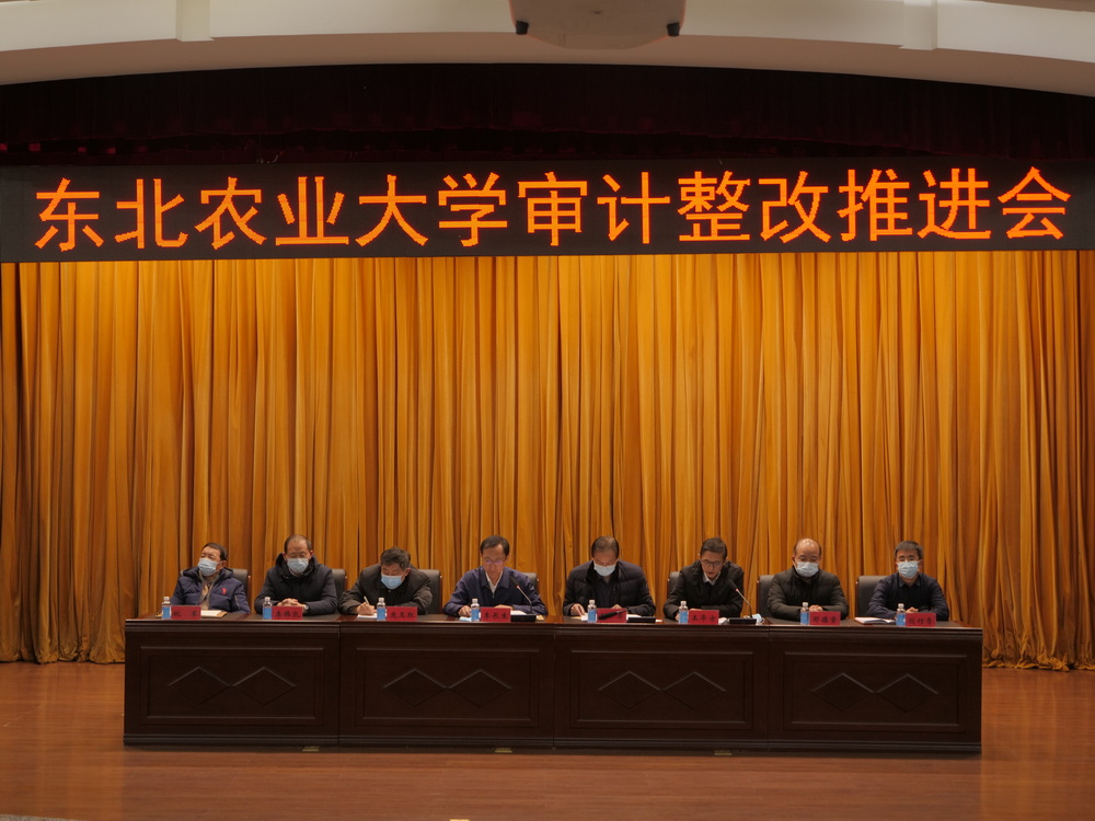 我校召开审计整改工作推进会议