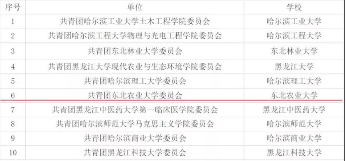 我校在2021年黑龙江省大中专学生志愿者暑期“三下乡”社会实践活动评比中再创佳绩