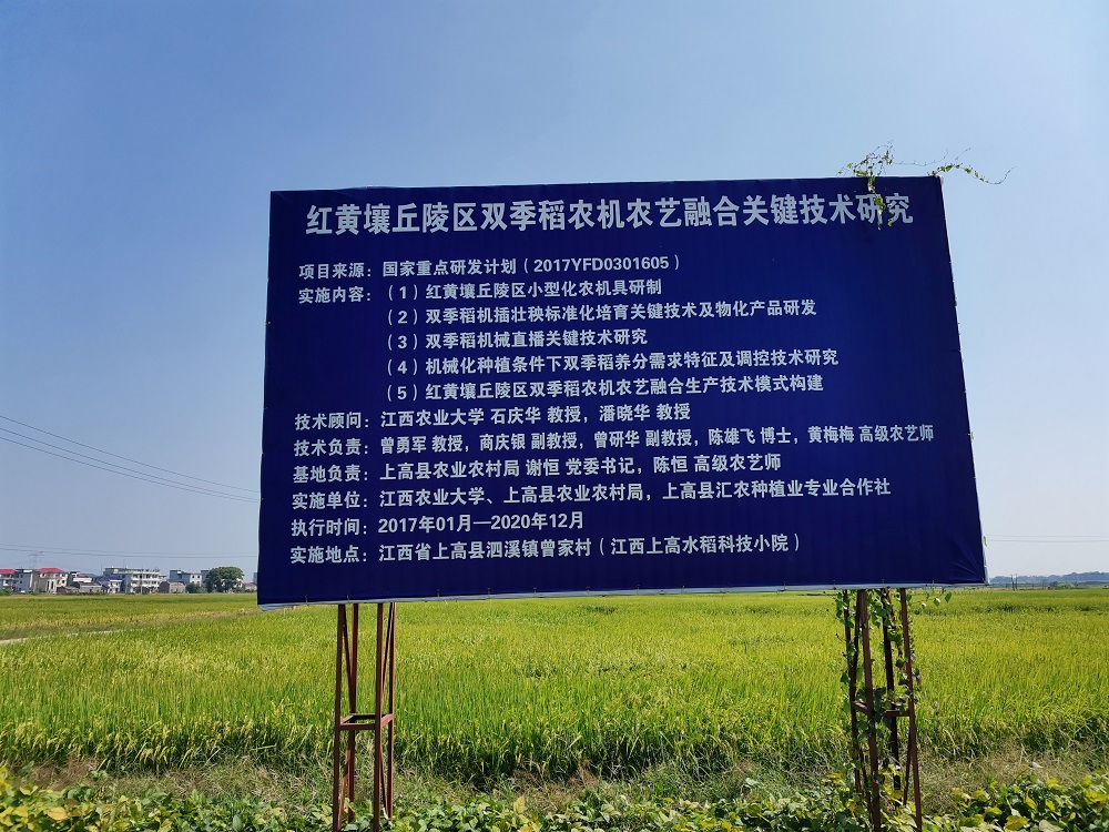 上高水稻科技小院获评中国农技协“十佳科技小院”
