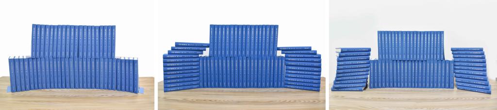 曲阜师大举办易学“两创”研讨暨《易图文献选辑》成果发布会