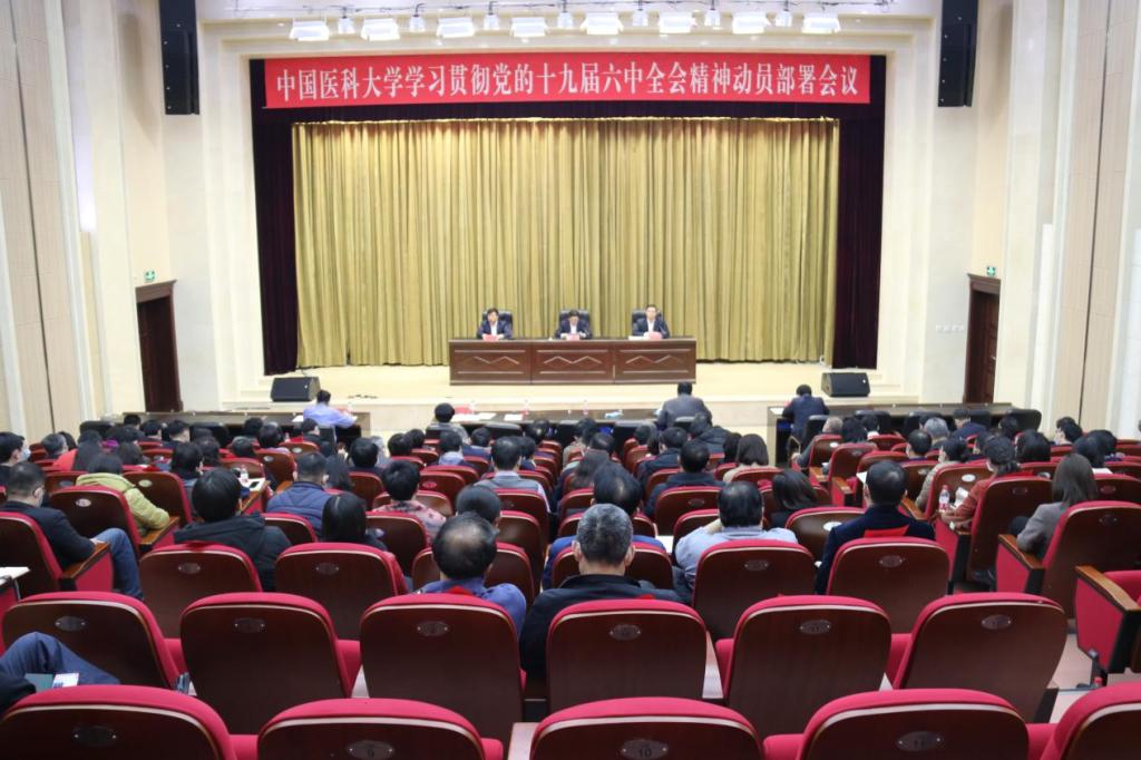 学校召开学习贯彻党的十九届六中全会精神动员部署会议