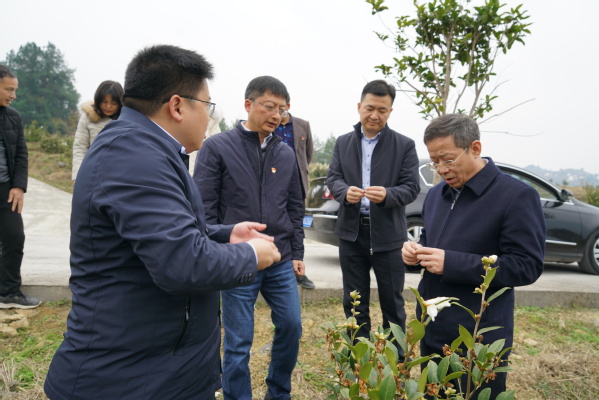 我校赴丰都县实地调研乡村振兴工作