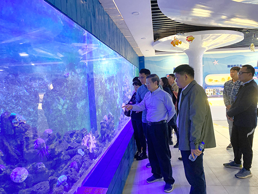自治区政协副主席刘正东率队考察涠洲岛珊瑚馆和珊瑚礁生态修复示范基地