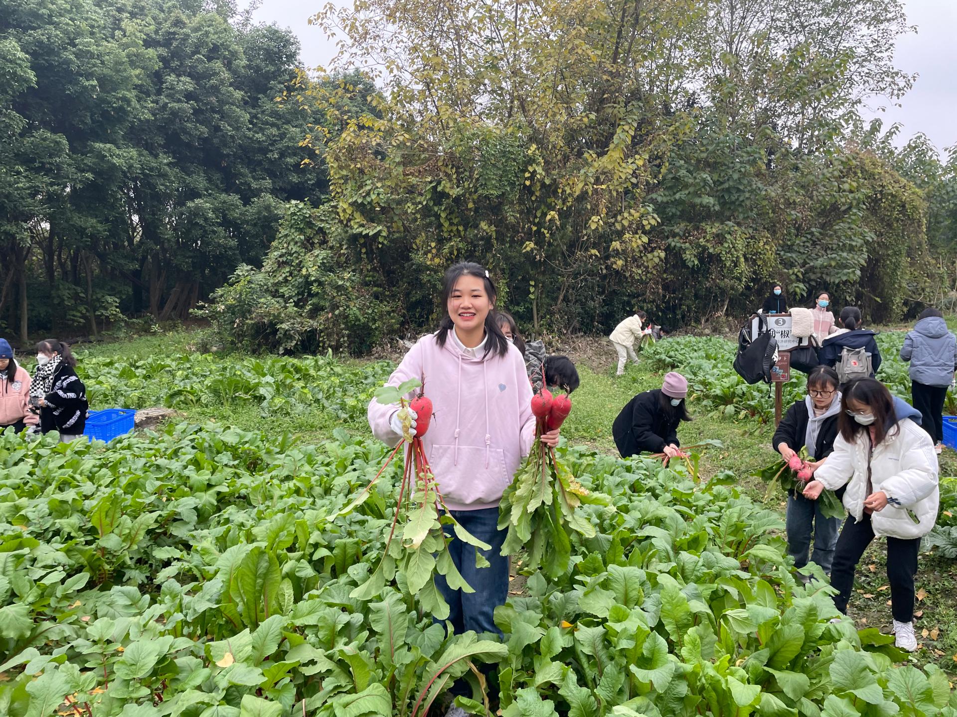 有声有色有滋味，学校劳动教育硕果累累