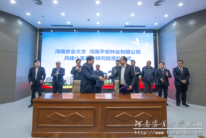 河南农业大学温县小麦产业研究院成立