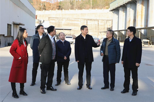 党委书记徐雁冰到郧西上津镇石庙村调研指导乡村振兴工作