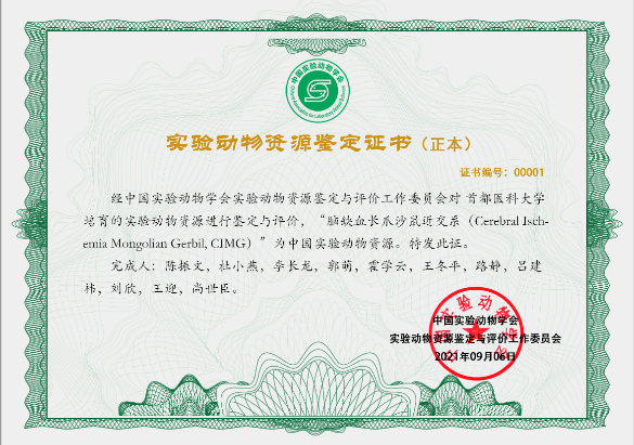 基础医学院陈振文教授团队培育的长爪沙鼠脑缺血和糖尿病模型2个近交系通过实验动物资源鉴定