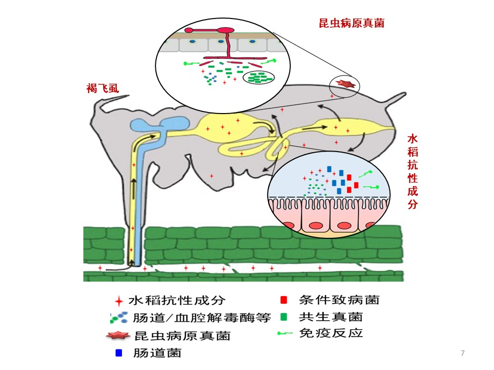 我校获批2021年国家自然科学基金区域创新发展联合基金重点项目