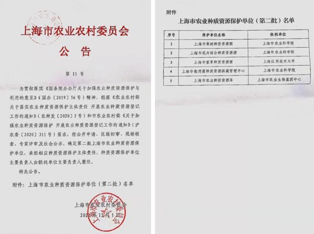 我校获批上海市农业种质资源保护单位