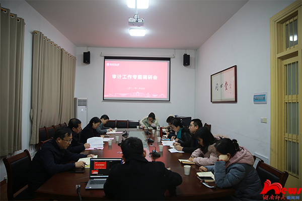 刘起军到审计处调研