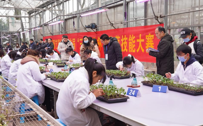 多家媒体报道学校学子蔬菜技能大赛