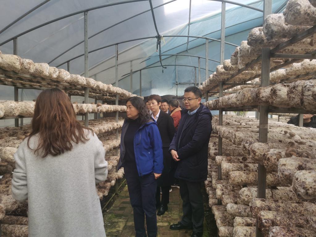 副校长曾丽率队赴安龙县开展乡村振兴和校地合作考察调研