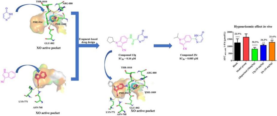 我校在降尿酸药物开发领域取得新进展