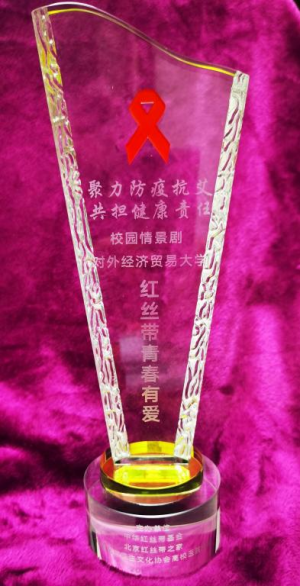 我校学生在首都高校防艾作品评选活动中获奖