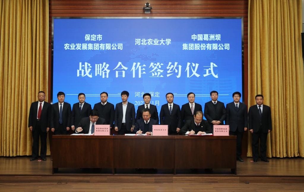 政校企凝心聚力 共创保雄发展新篇章