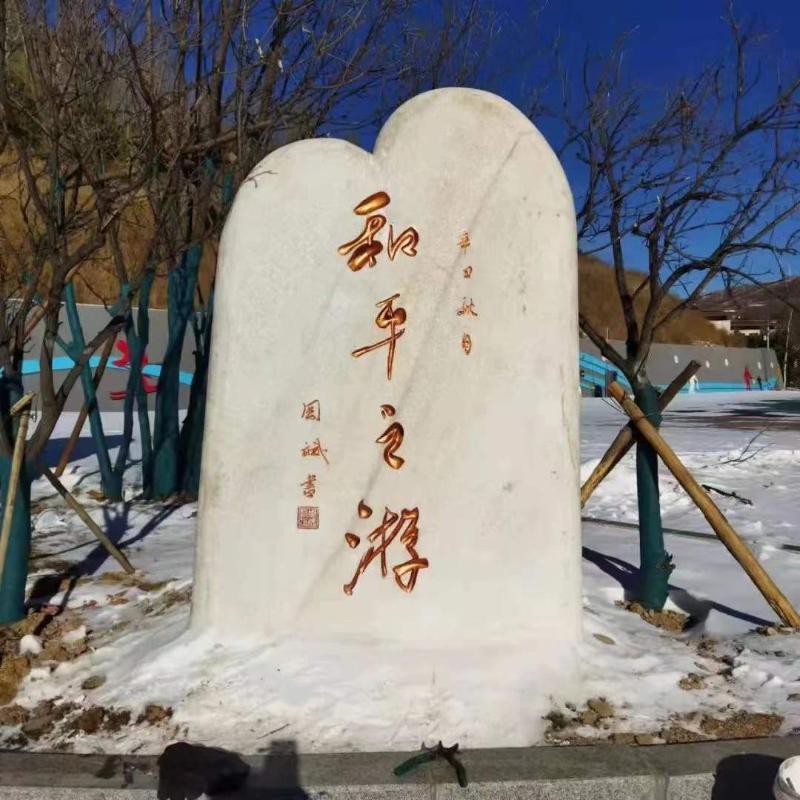 全球挑战计划│共话冬奥精神，见证师生情谊