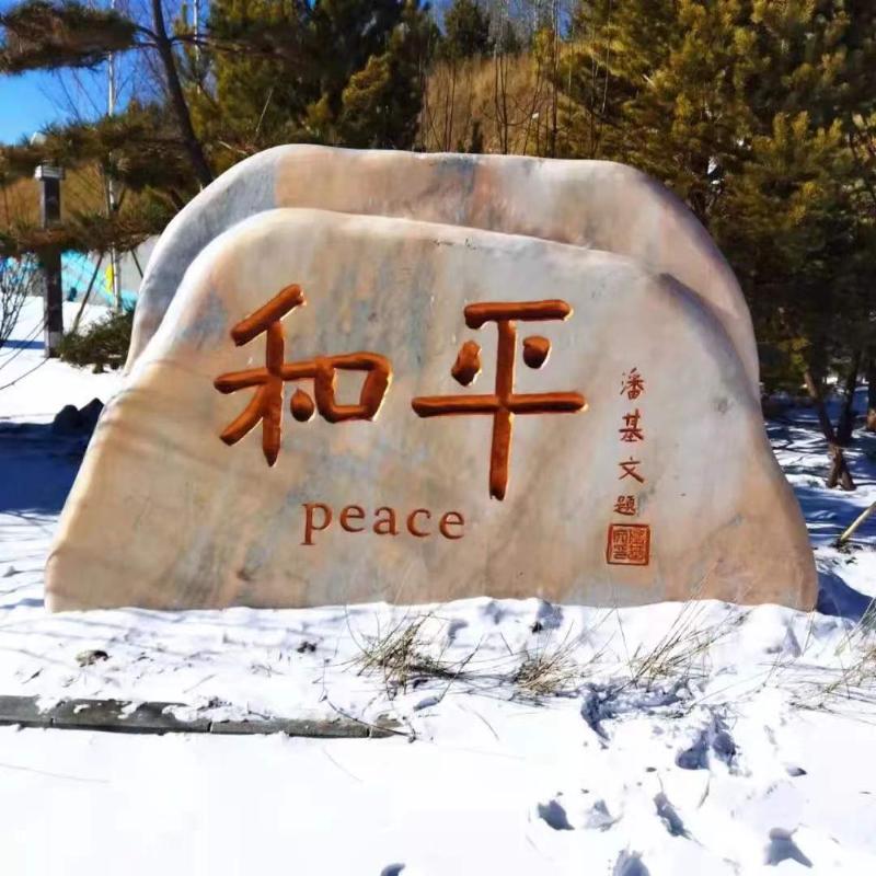 全球挑战计划│共话冬奥精神，见证师生情谊