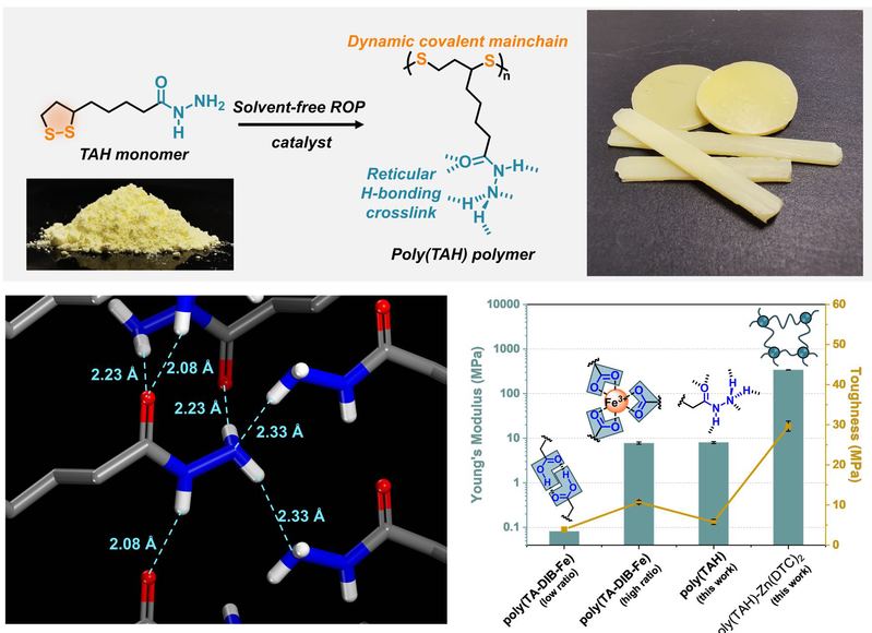 【创新前沿】Science Advances报道我校动态共价二硫聚合物材料研究进展