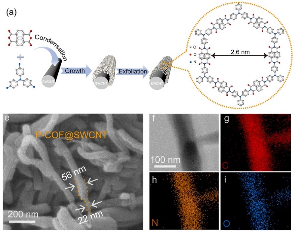 科苑探骊 | 我校教师在新型钾离子电池负极材料领域取得重要进展